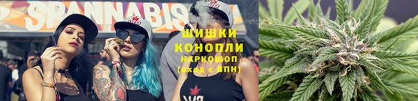 ГАЛЛЮЦИНОГЕННЫЕ ГРИБЫ Алзамай