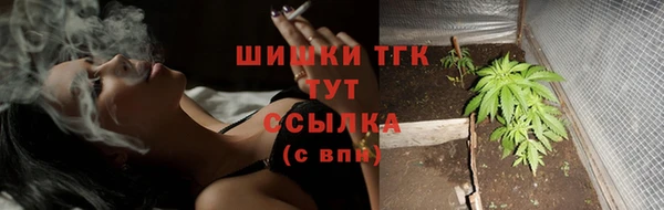 гидра Данков
