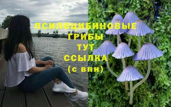 винт Абинск